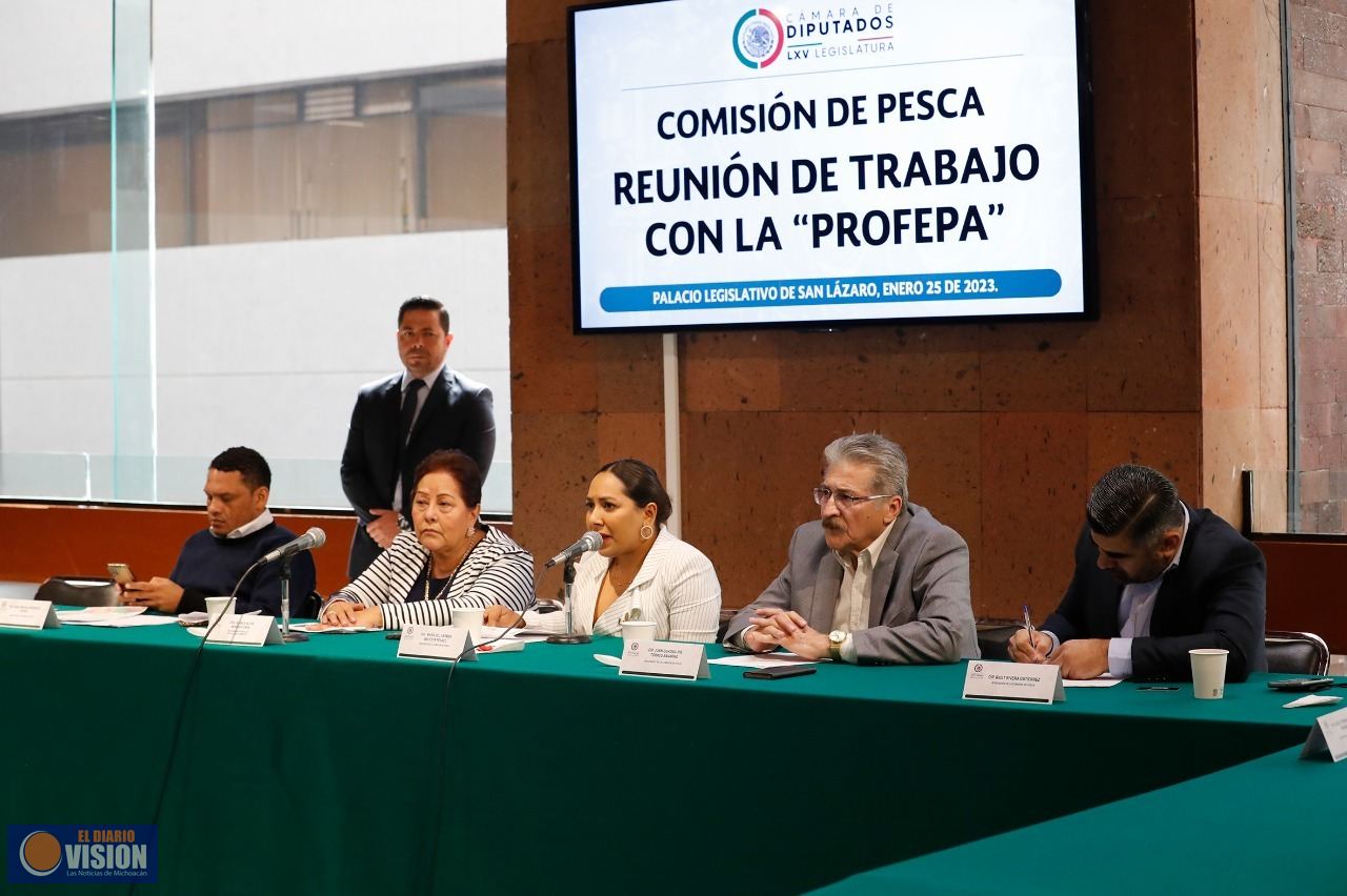 Diputadas y diputados de la Comisión de Pesca se reúnen con la titular de la Profepa 