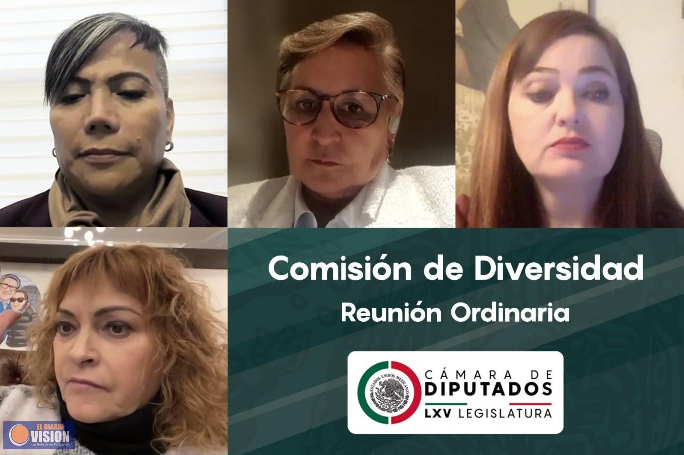 Aprueba Comisión de Diversidad opinión a iniciativa que reforma disposiciones a la Ley de Salud