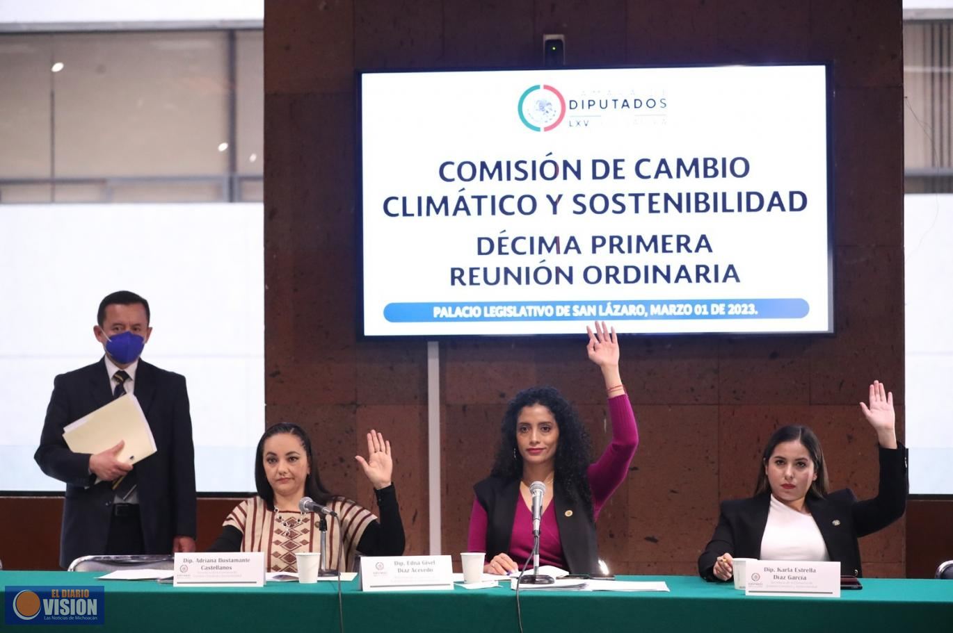 Comisión de Cambio Climático avaló dictamen para atender crisis en materia de biodiversidad
