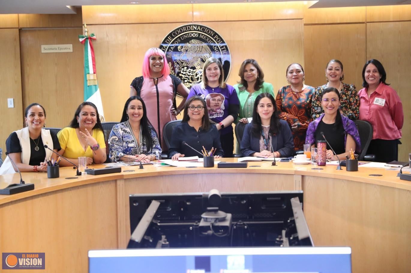 Diputadas del Grupo Plural de Igualdad Sustantiva se reunieron con representantes de ONU Mujeres