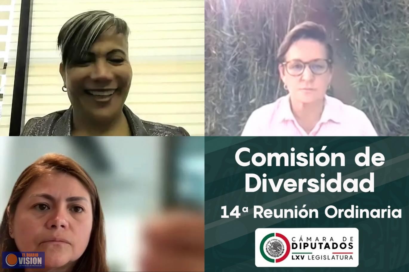 Comisión de Diversidad aprobó seis opiniones en materia de homicidio por orientación sexual