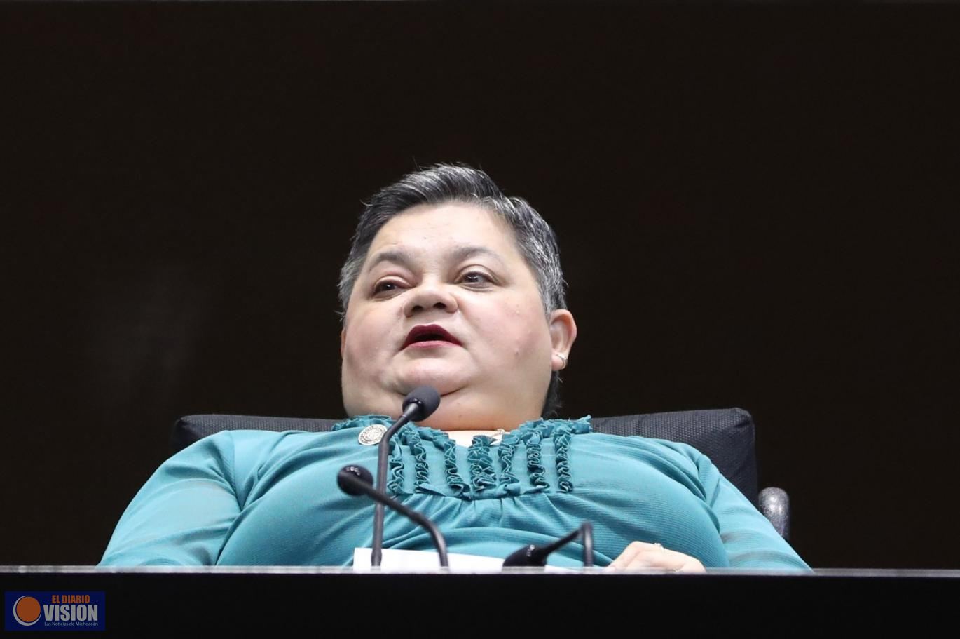 El Pleno de la Cámara de Diputados declara 6 de octubre como “Día Nacional de la Parálisis Cerebral