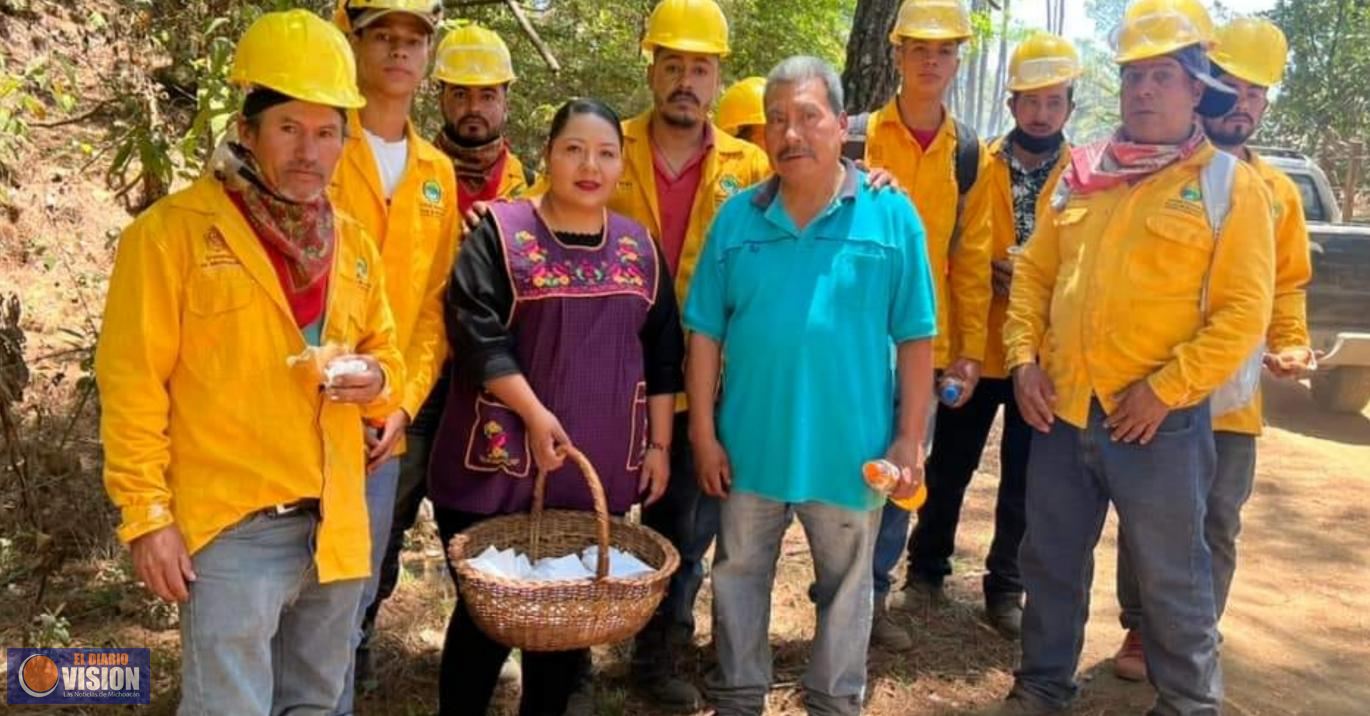 Controlado el incendio forestal en el cerro conocido como “Ojo de agua”, en Tingambato