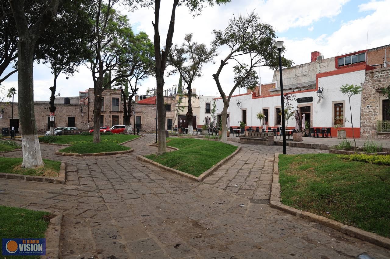 Jardín de la Soterraña, más verde y vivo que nunca