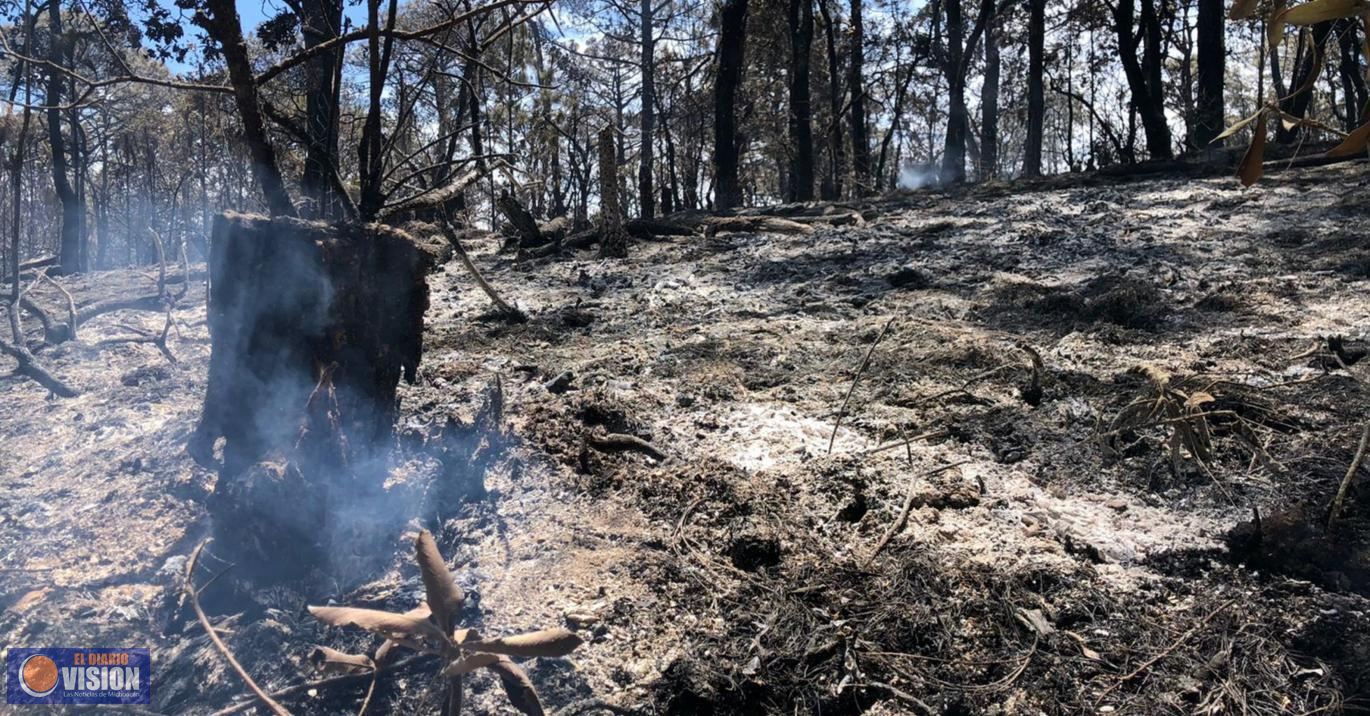 Controlado hasta en 90% incendio forestal al sur de Charo