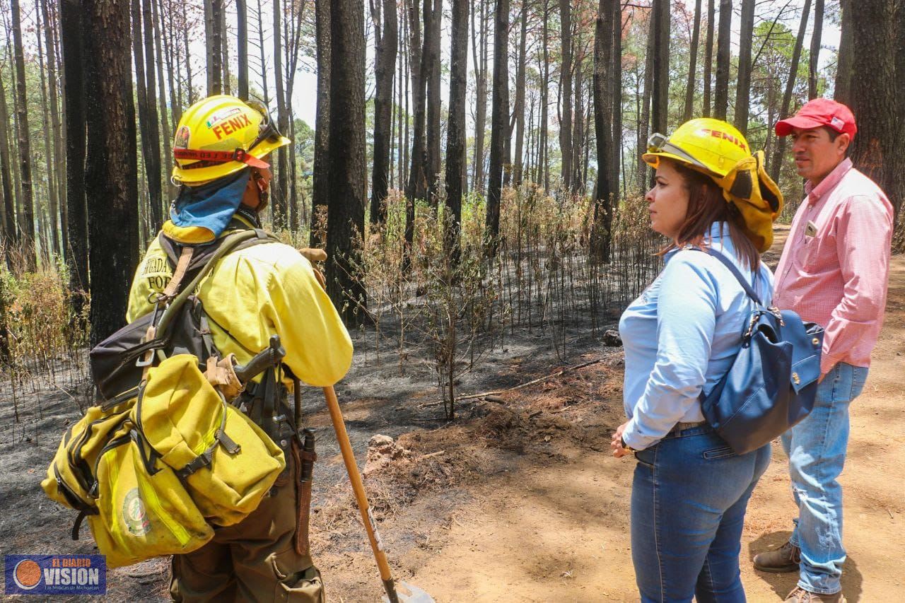 Mantiene Seduma acciones para prevenir incendios forestales