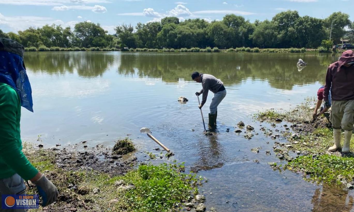 Ayuntamiento de Zacapu y COFOM, trabajan en la limpieza de la Laguna de Naranja