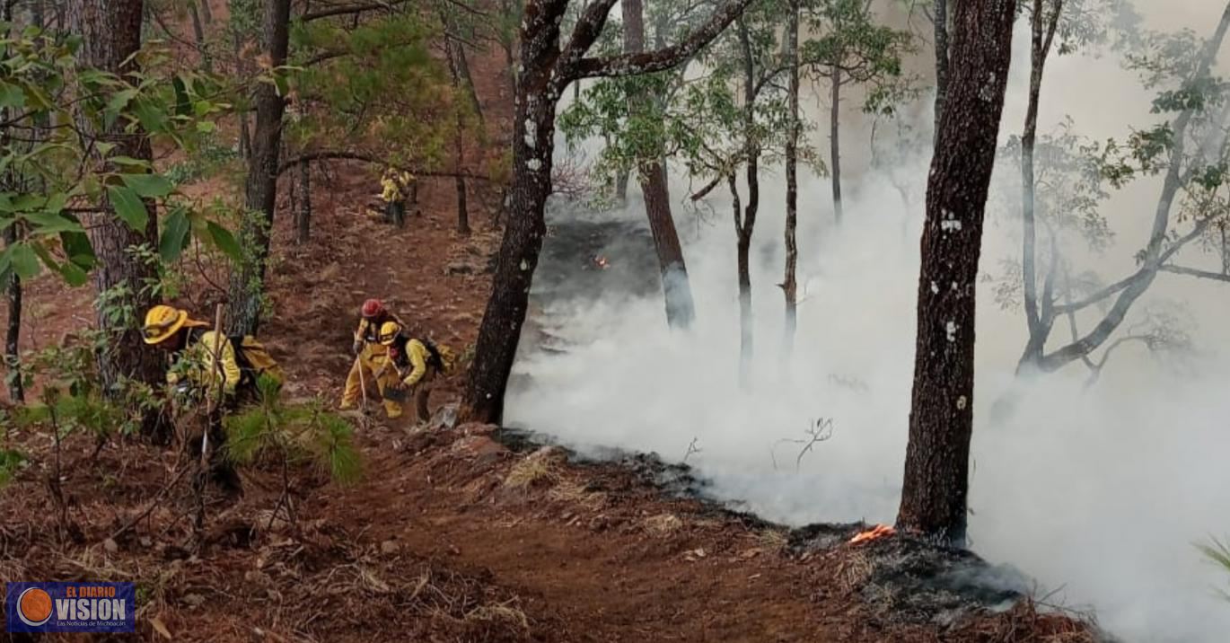 Contribuye Brigada Municipal de Manejo del Fuego por la ecología de Michoacán