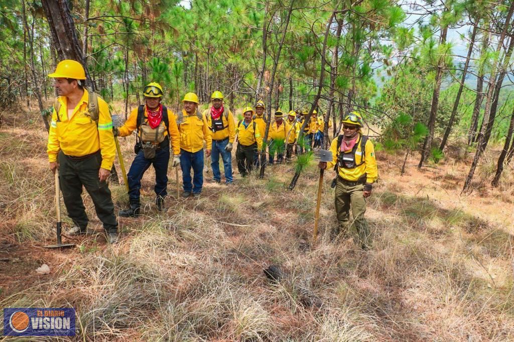 Un éxito, el Programa Municipal de Restauración y Reforestación Focalizada en Uruapan