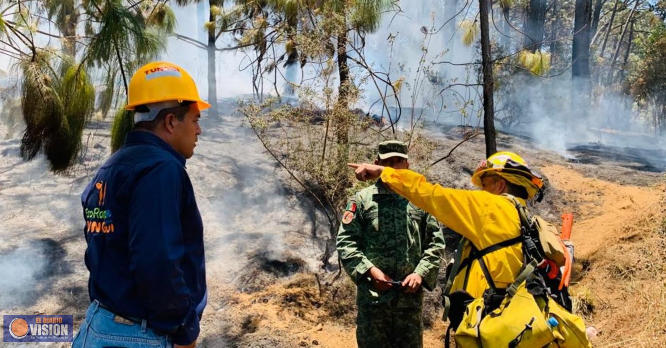 Brigadas forestales, en alerta máxima ante ola de calor