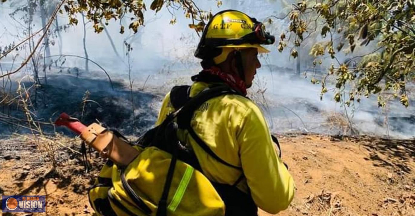 Brigadas forestales, en alerta máxima ante ola de calor