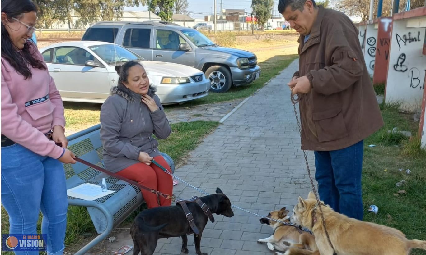 Realizarán 6.ª Jornada de esterilización gratuita, canina y felina en Zacapu
