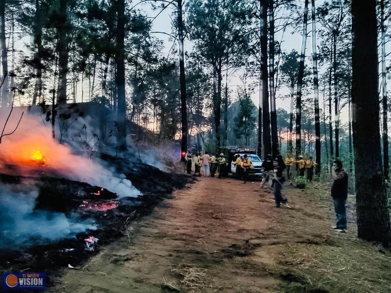 Brigadistas municipales controlan incendio en cerro de La Charanda