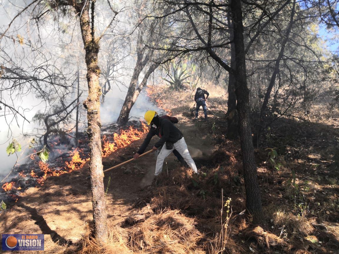 Envían helicóptero con helibalde para apagar incendio en Tzintzuntzan: Cofom