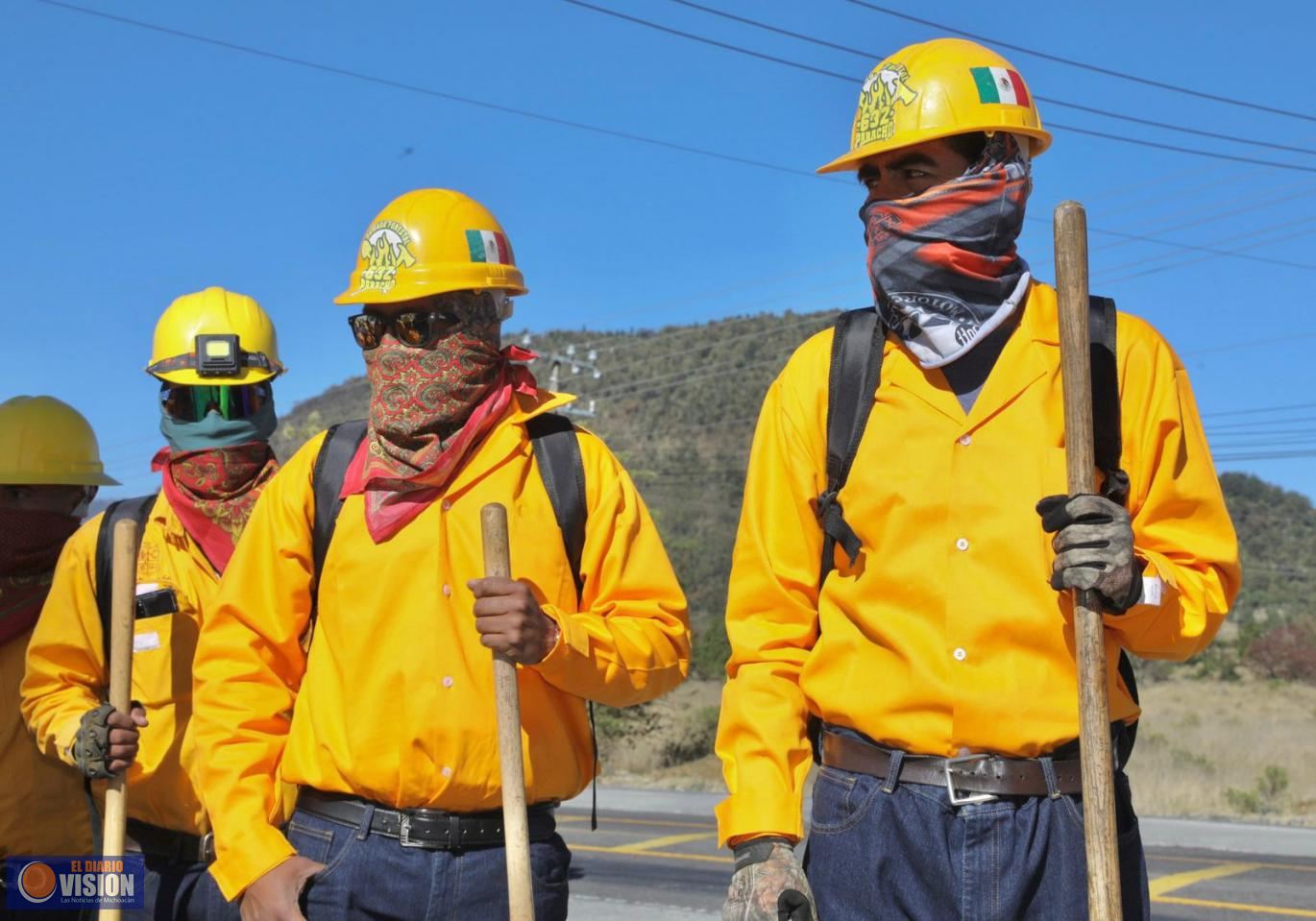 Bajo control y sin riesgos, incendios forestales: Bedolla