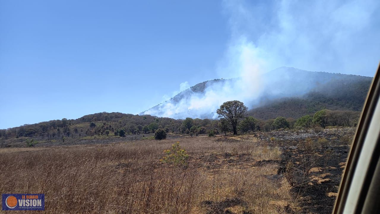 Combaten por tierra y aire reactivación de incendio forestal en cerro del Águila