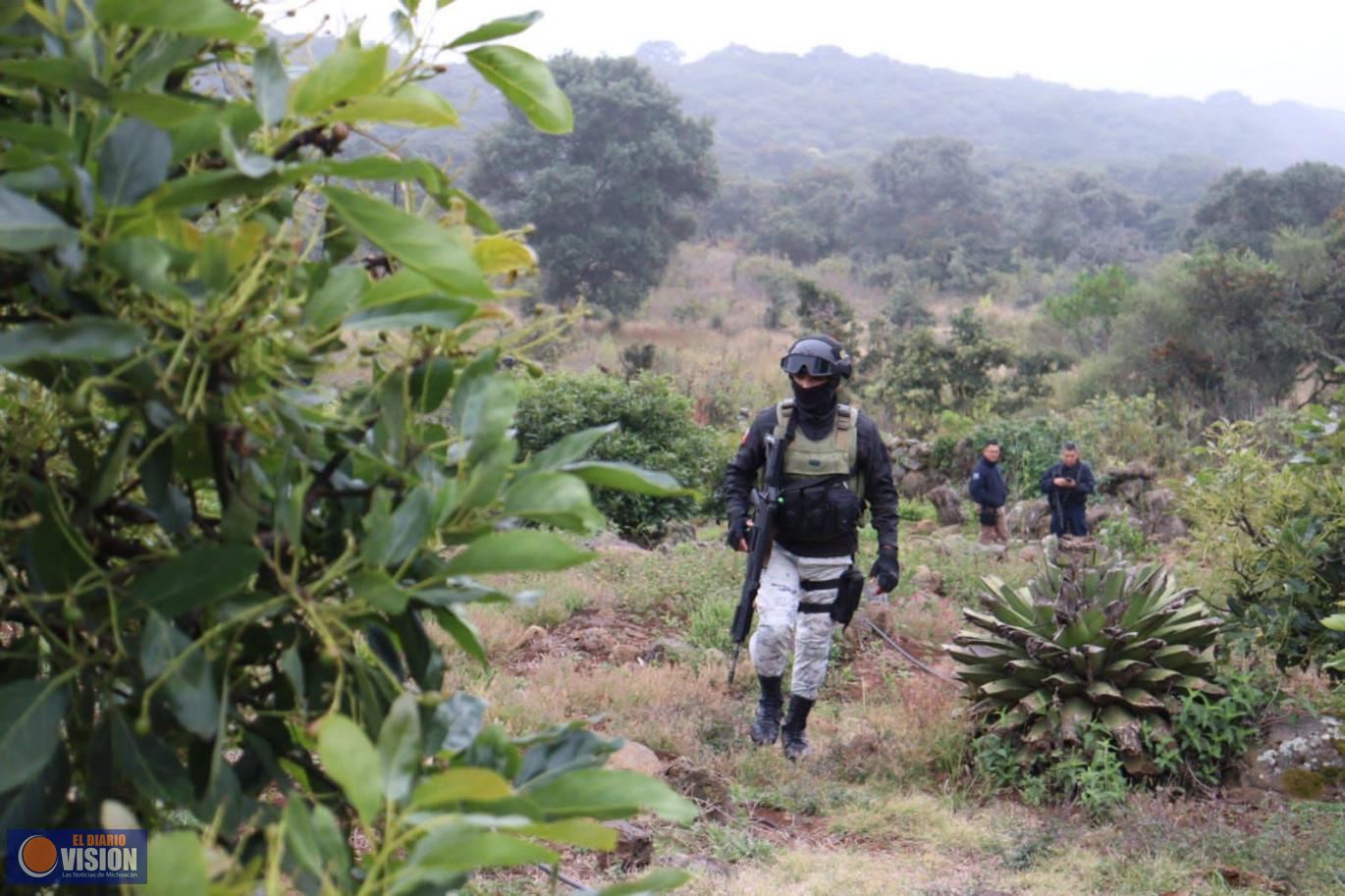 Hacer ollas de agua es ilegal; con Guardián Forestal serán detectadas