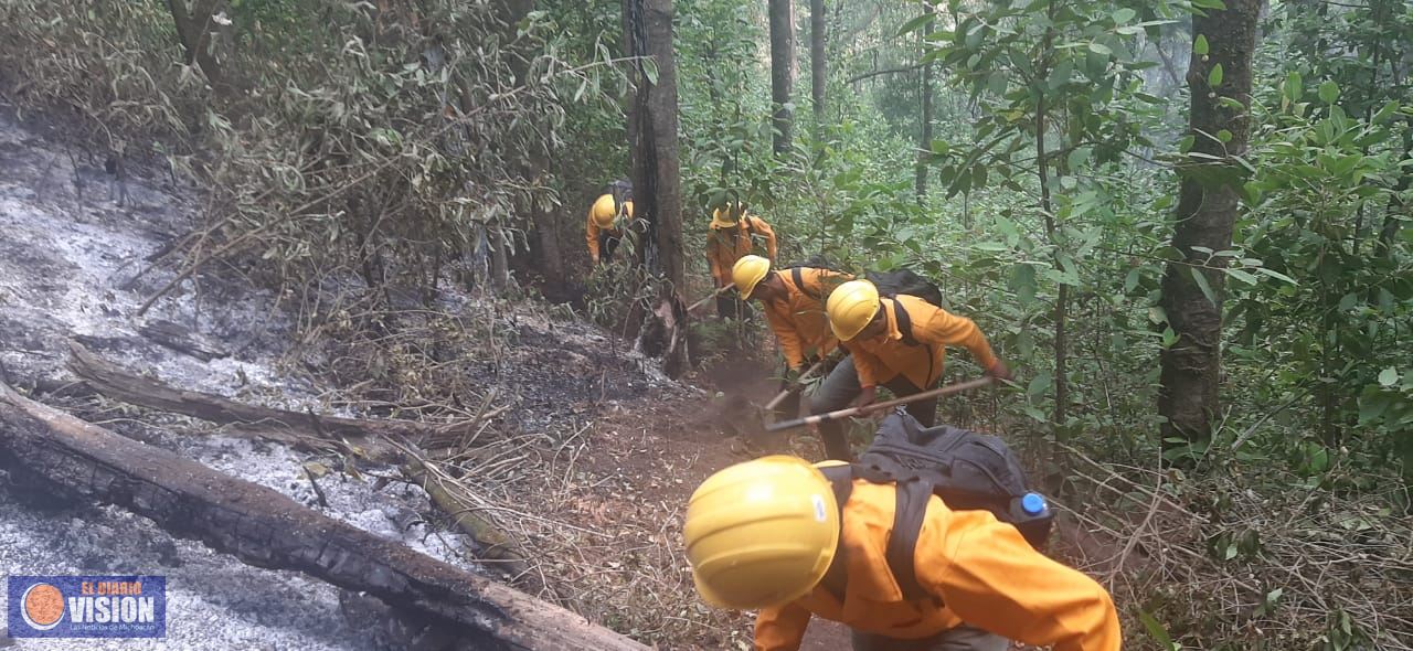 Brigadistas controlan incendio forestal en Morelia y atienden 9 más en otros municipios 