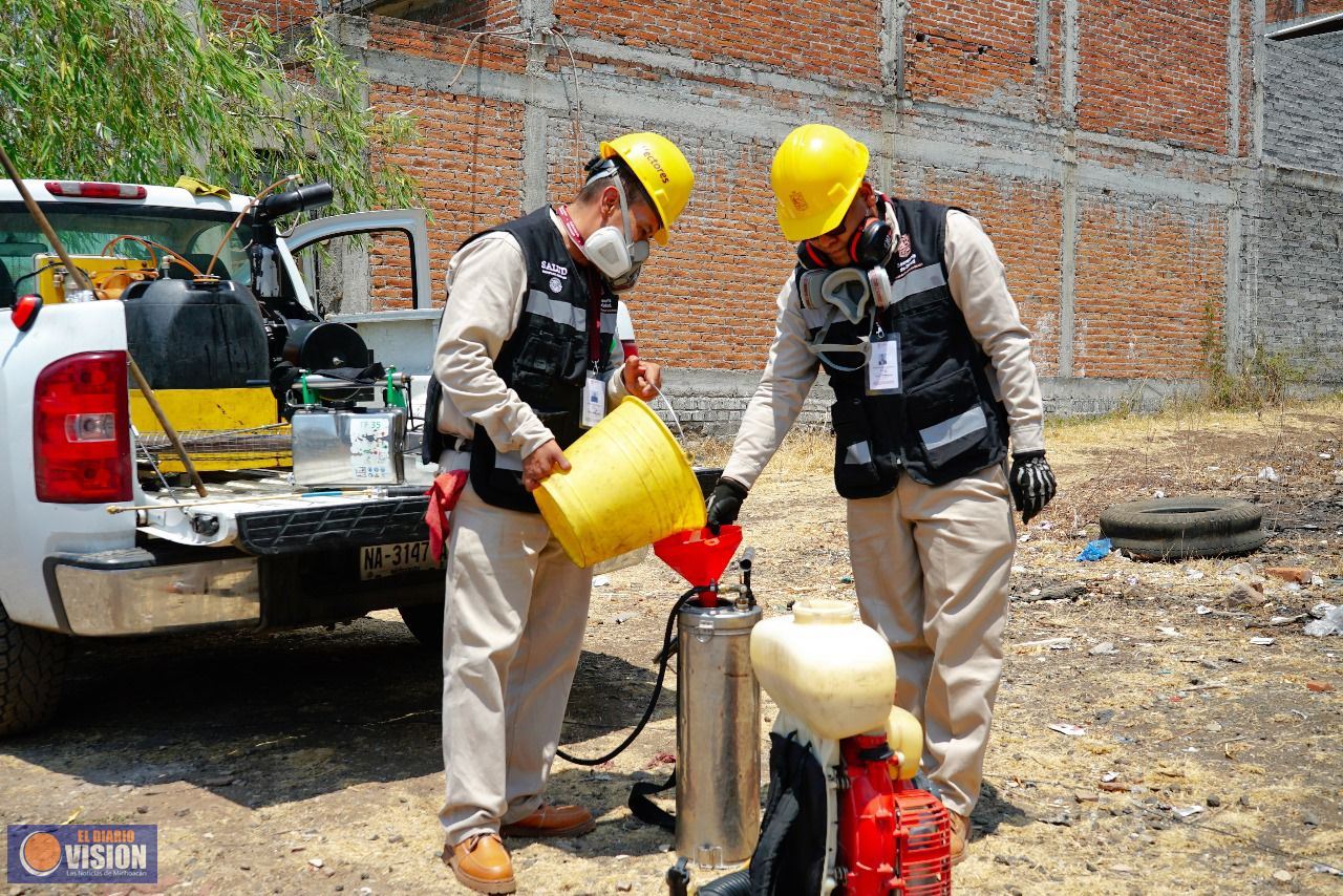 Ante las lluvias, refuerza desde casa esta estrategia para prevenir el dengue