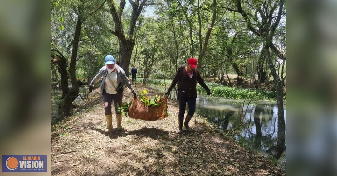 Empleo temporal beneficia a más 800 personas del lago de Pátzcuaro