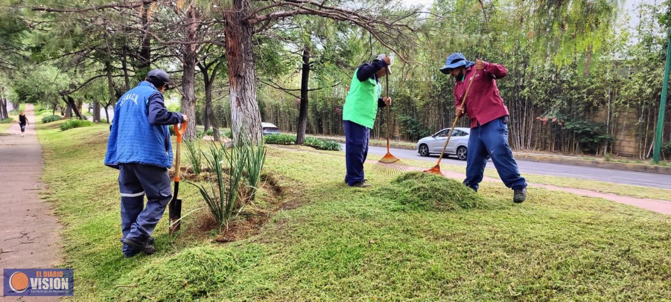Trabaja Gobierno de Morelia en limpieza de camellones al sur de Morelia