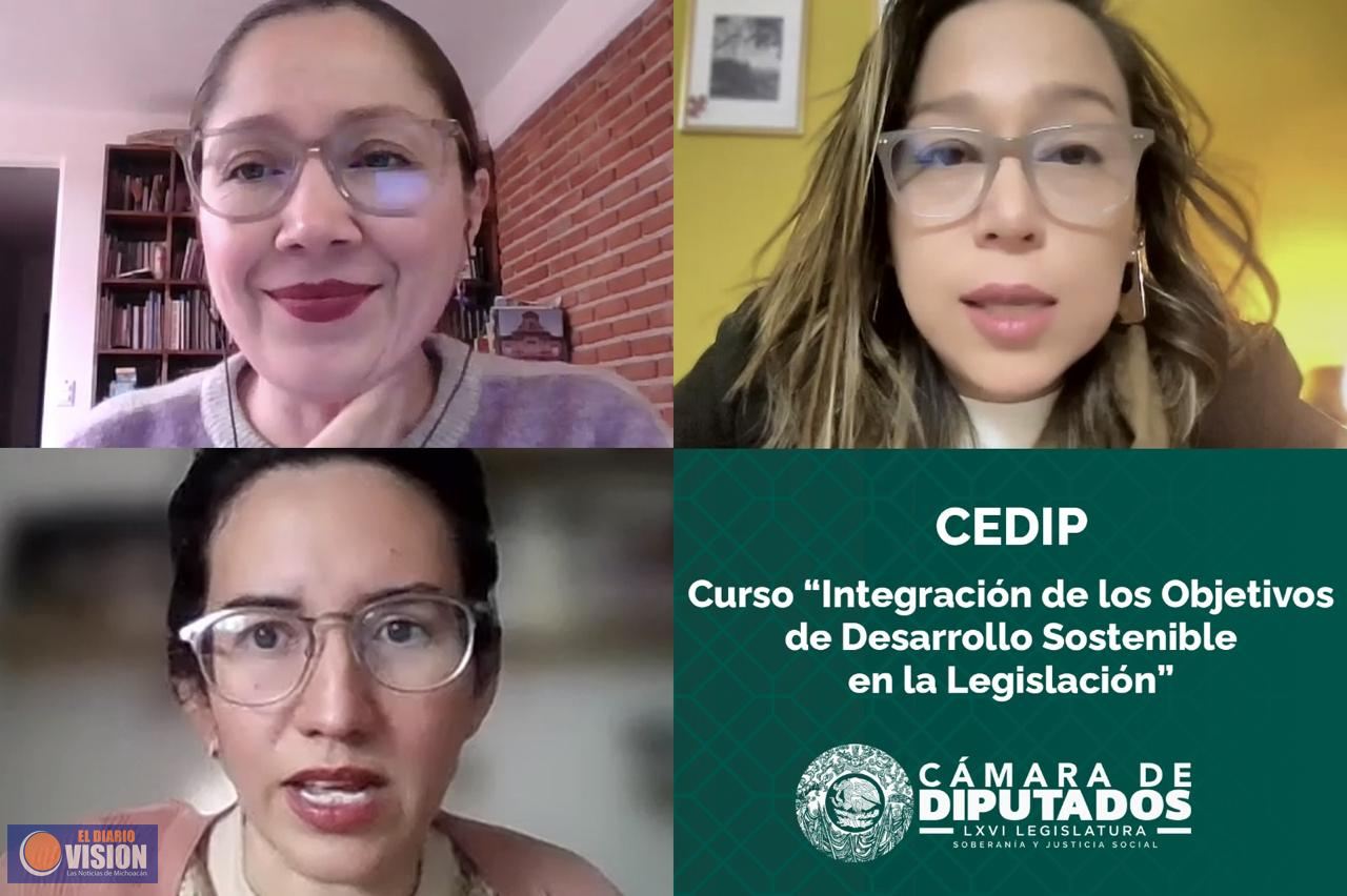 Cámara imparte curso virtual “Integración de Objetivos de Desarrollo Sostenible en la Legislación”