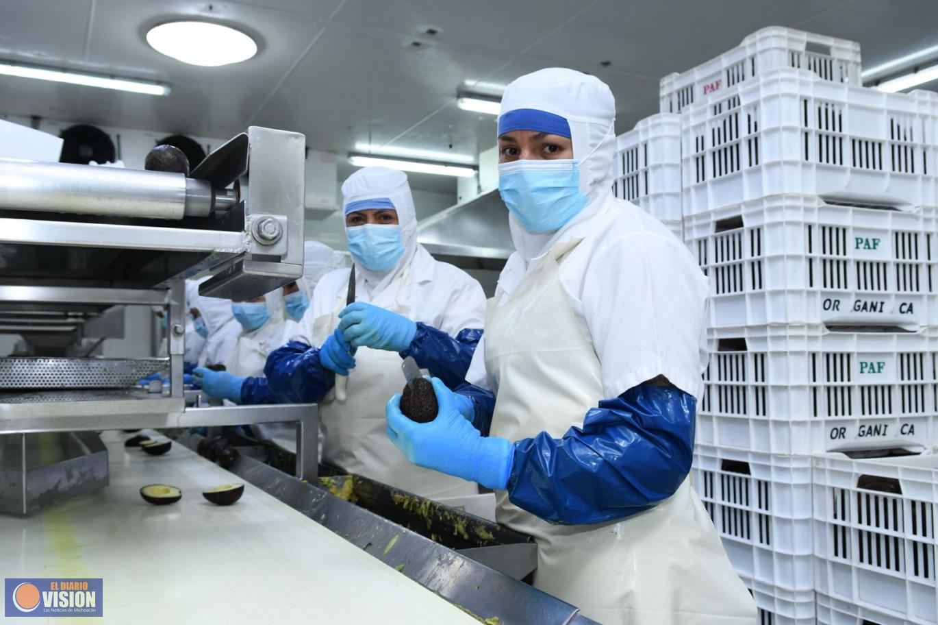 En Gobierno de Bedolla se han creado más de 31 mil nuevos empleos