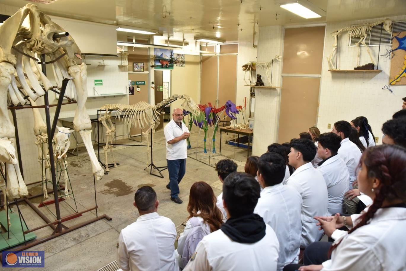 Medicina, Odontología y Derecho encabezan el Top 10 de las carreras con mayor demanda en la UMSNH