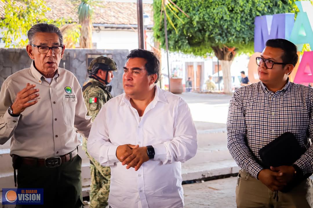 Realizan Operativo contra la Tala ilegal en Tacámbaro 