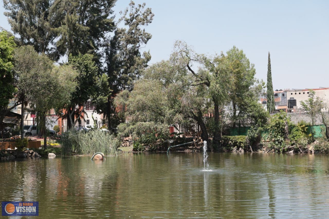 Gobierno de Alfonso Martínez recupera ojo de agua del Vivero Municipal
