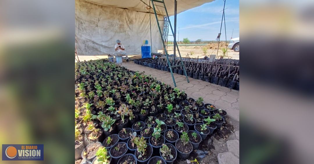El Gobierno de Morelia fortalece los espacios verdes de la ciudad