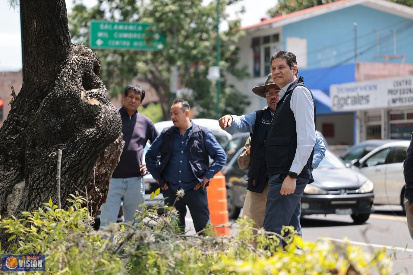 Gobierno de Morelia continúa construyendo espacios seguros con programa de Poda Sanitaria