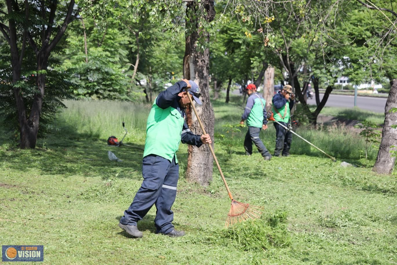 Brigadas del Gobierno de Morelia intervienen Libramiento Paseo de la República
