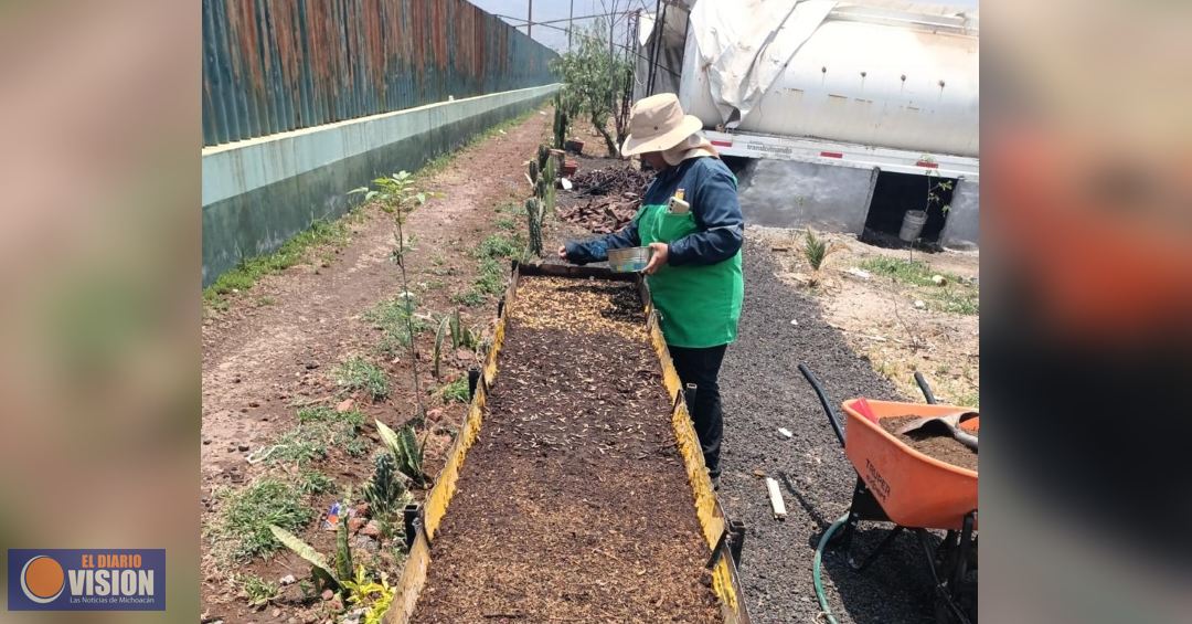 Gobierno de Morelia apuesta por el fortalecimiento ambiental, con nuevo vivero municipal