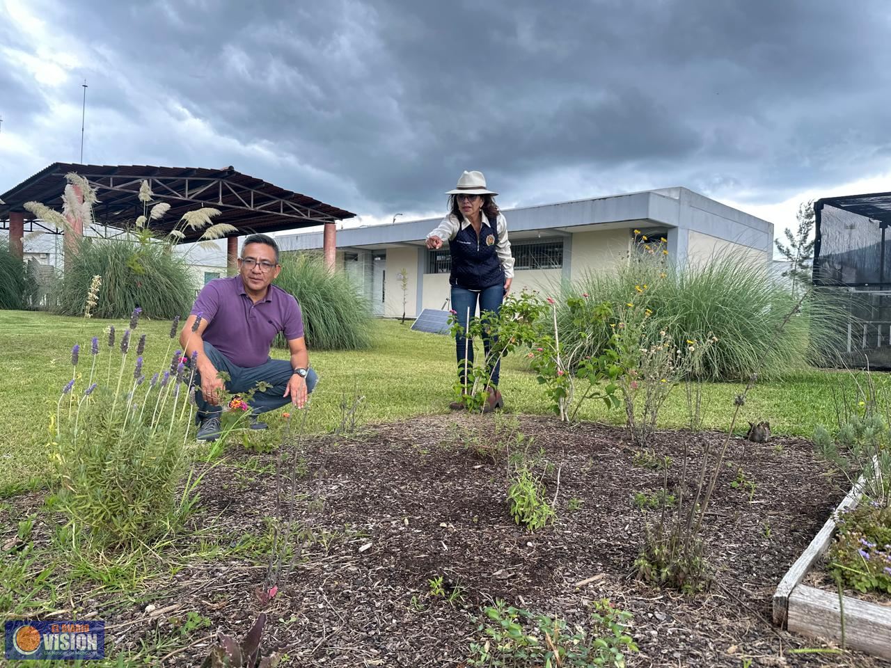 UMSNH pone en marcha proyecto de 