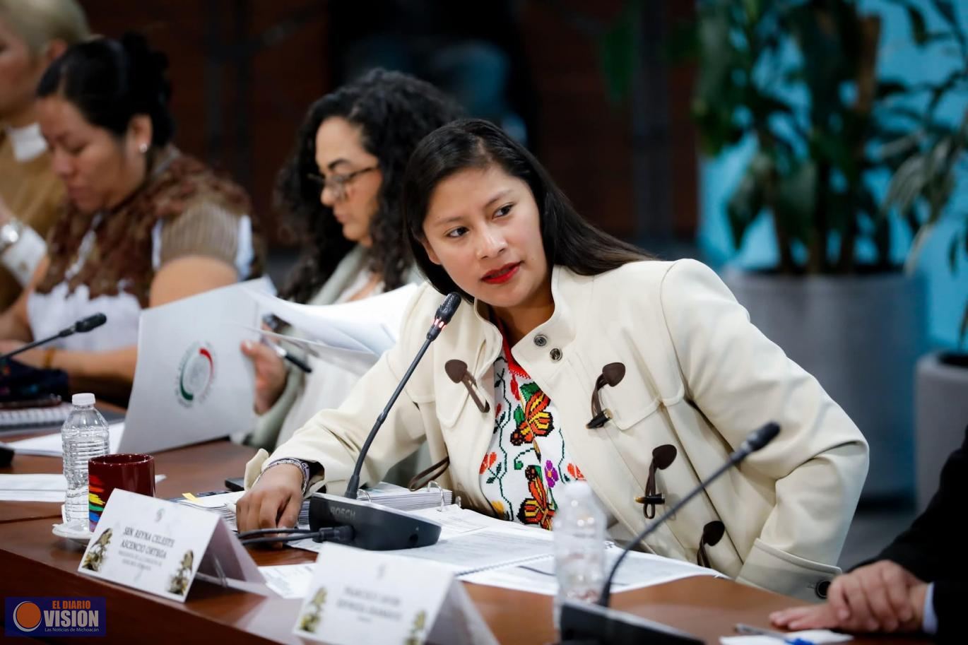 Senadora Celeste Ascencio, encabeza comparecencias al Consejo de Búsqueda