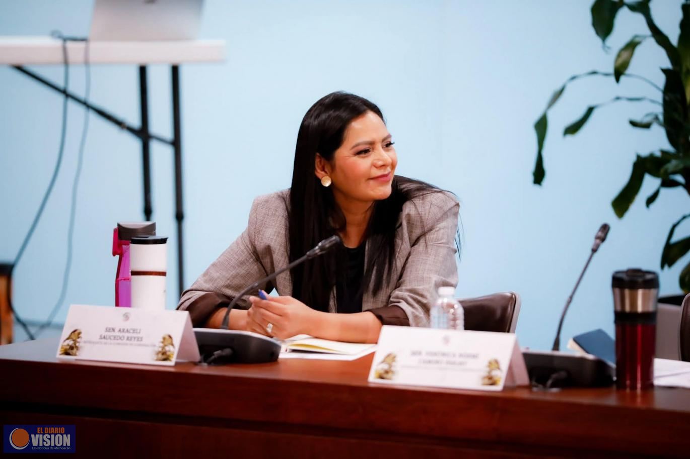 Araceli Saucedo reafirma compromiso con el Consejo del Sistema Nacional de Búsqueda de Personas