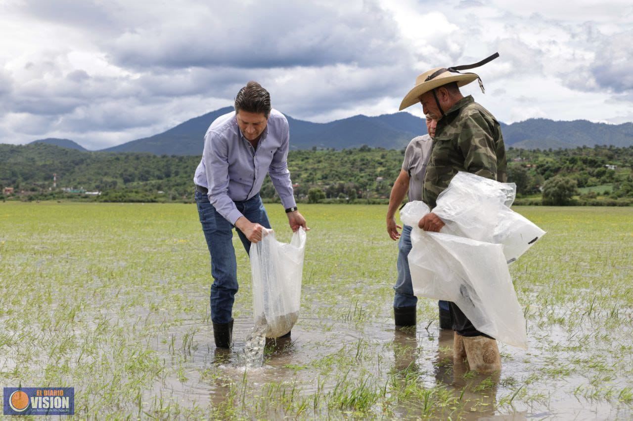 Encabeza Alfonso Martínez siembra de 100 mil ejemplares de tilapia en zona rural