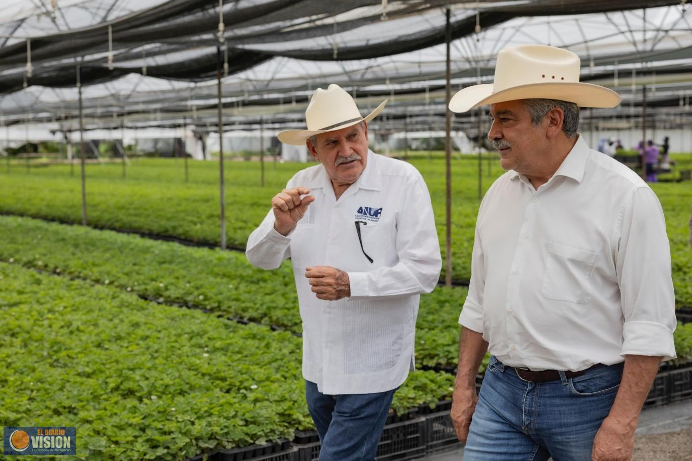 Raúl Morón, el aliado para potenciar el campo michoacano