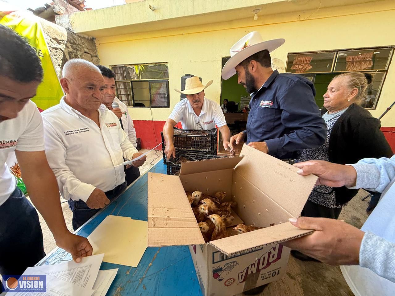Impulsa Tarímbaro la economía familiar con entrega de pollitas de doble propósito