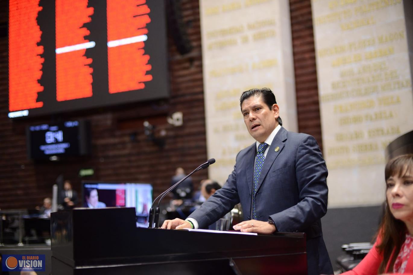 Medio ambiente, seguridad, atención social y reforma electoral, prioridades del PVEM en plenaria