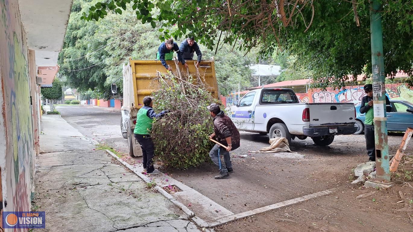Gobierno de Morelia da mantenimiento integral al área verde de la 5 de Diciembre