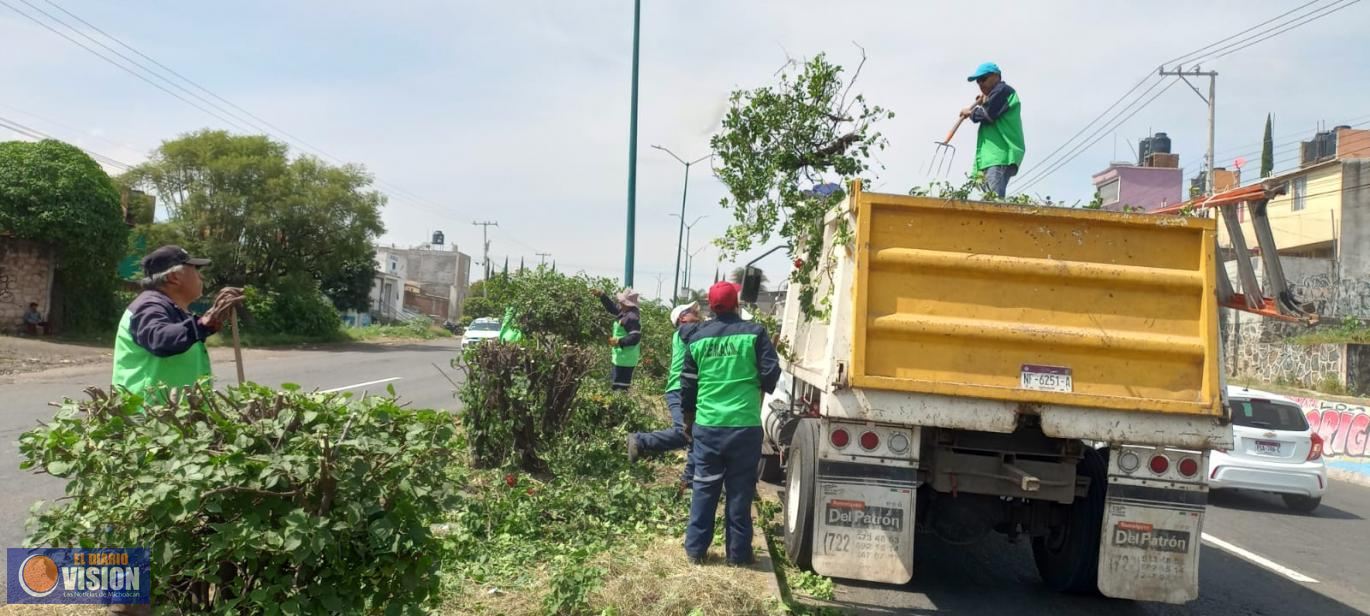 Brigadas de Servicios Públicos intervienen carretera a salida a Quiroga