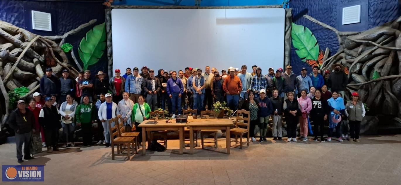 Fortalece Sectur calidad de servicios en santuarios de la Mariposa Monarca