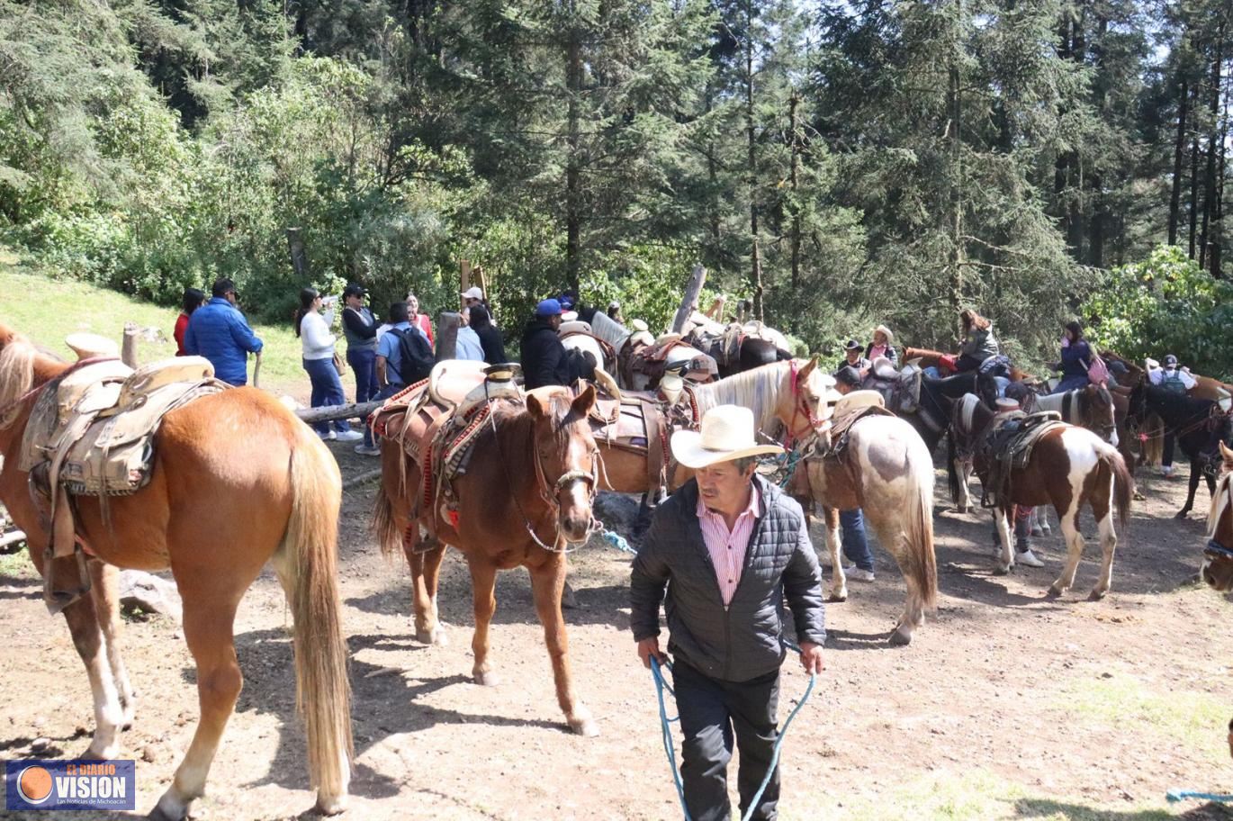 Santuarios de la Mariposa Monarca, de los imperdibles en Michoacán