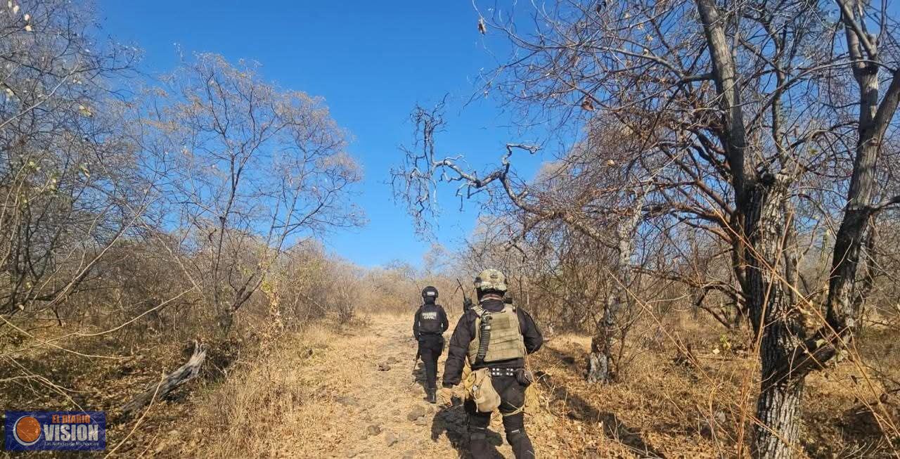 Destruyen narco campamento en Buenavista