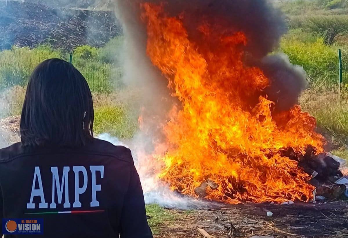 Fuerte golpe al narco, destruyen droga y psicotrópicos