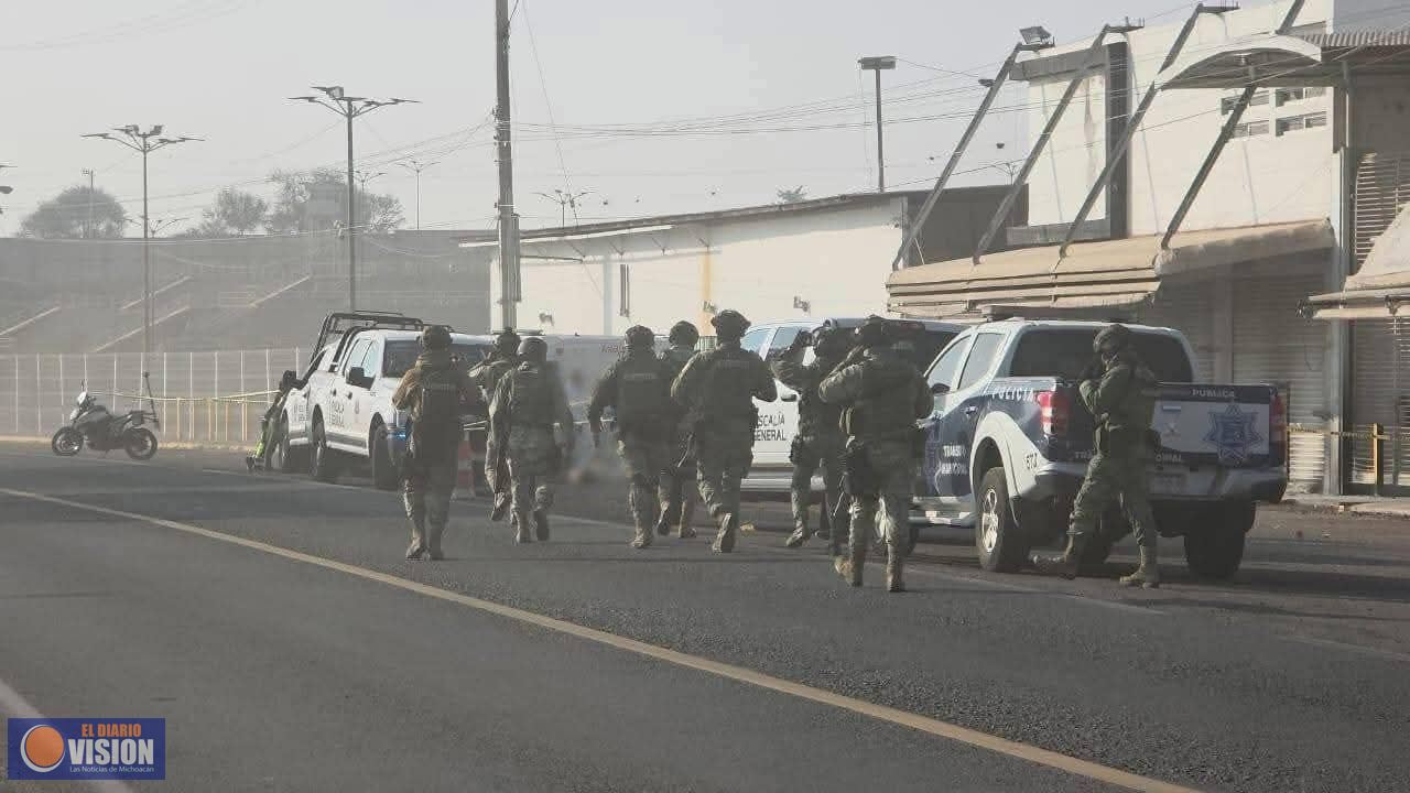 Localizan cuerpos desmembrados en Texticuitzeo