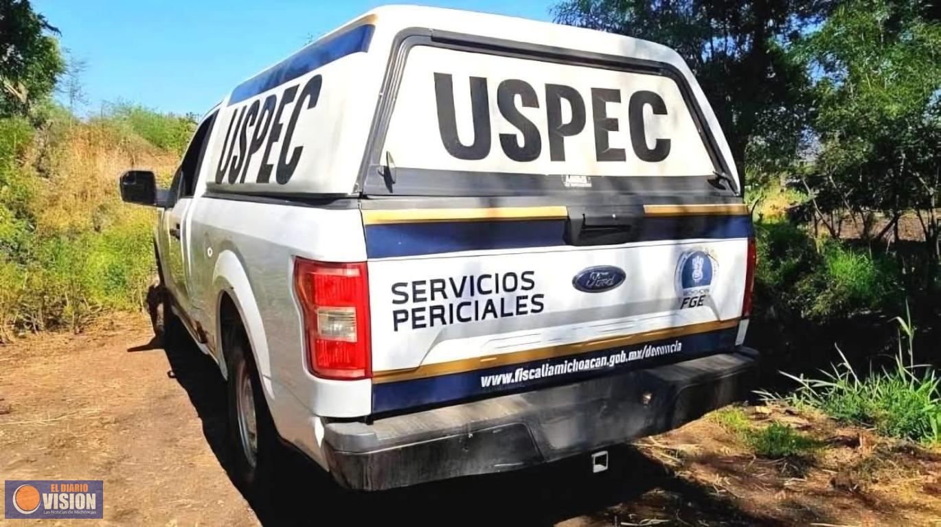 Localizan 6 ejecutados en predio de “El Guayabo”, en Apatzingán