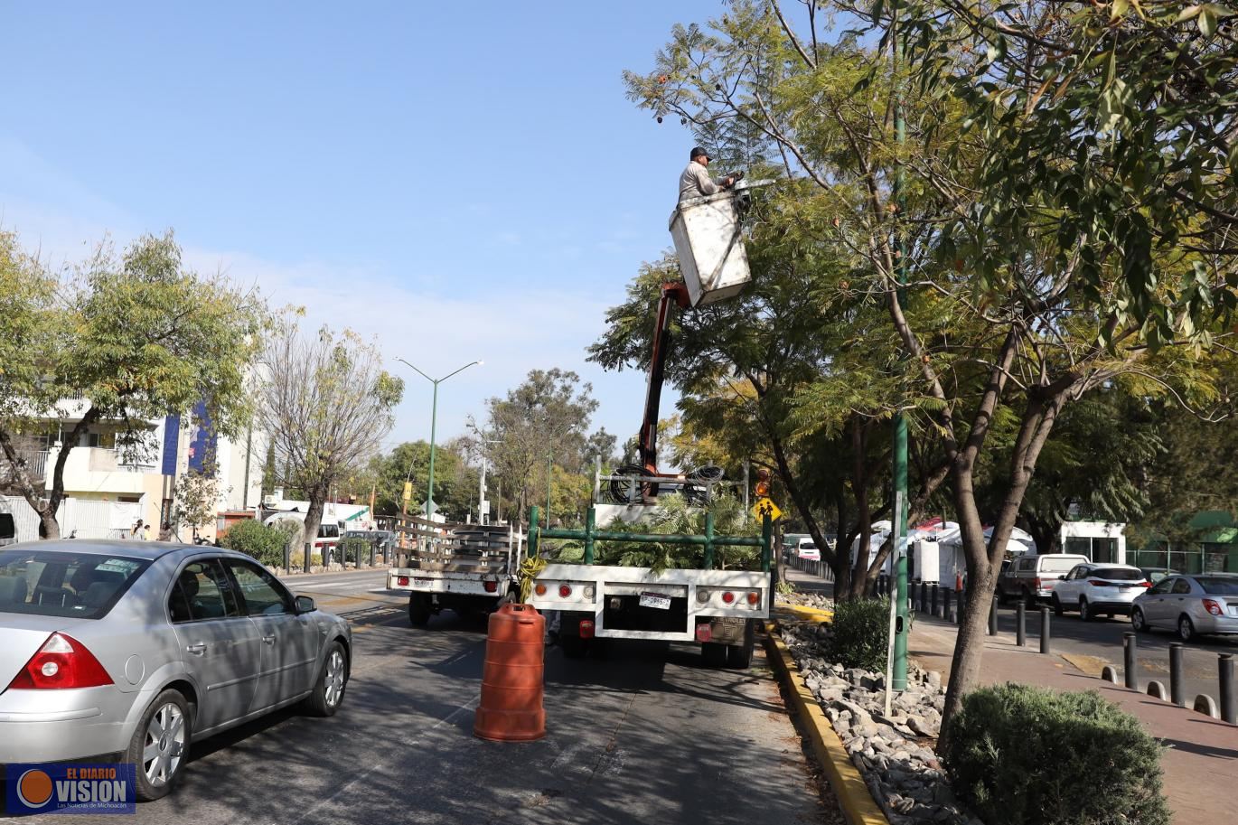 Servicios Públicos municipales embellece la Calzada Juárez